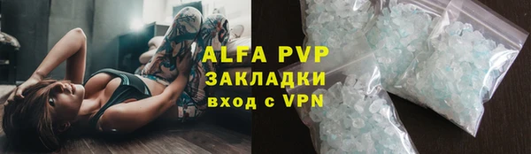прущие грибы Бронницы