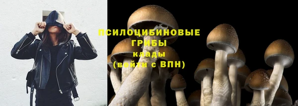 Альфа ПВП Бородино
