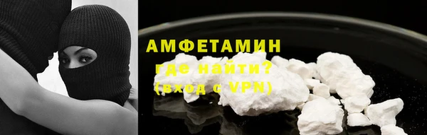 прущие грибы Бронницы