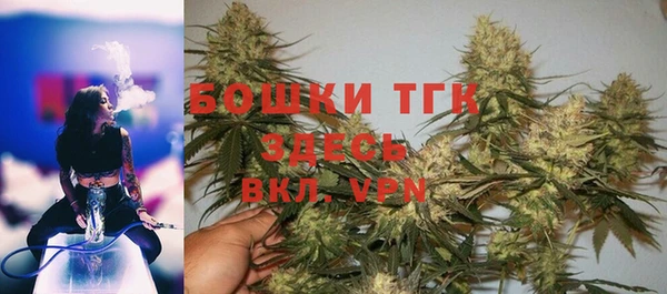 прущие грибы Бронницы