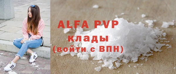 прущие грибы Бронницы