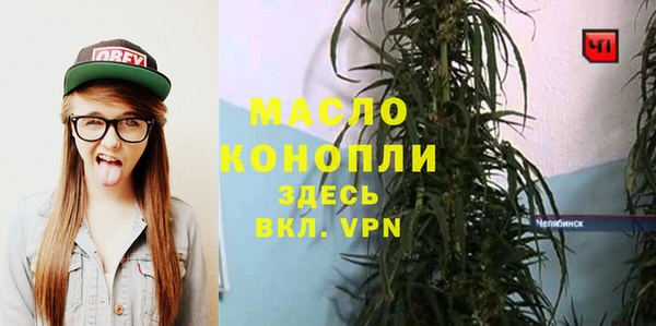 Альфа ПВП Бородино