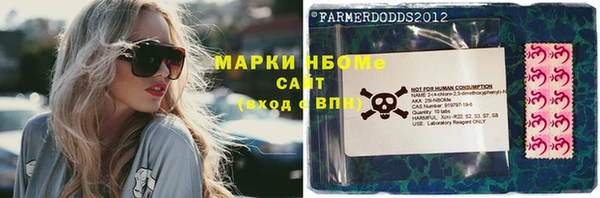 прущие грибы Бронницы